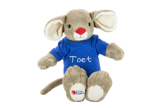 Toet knuffel met naamshirt