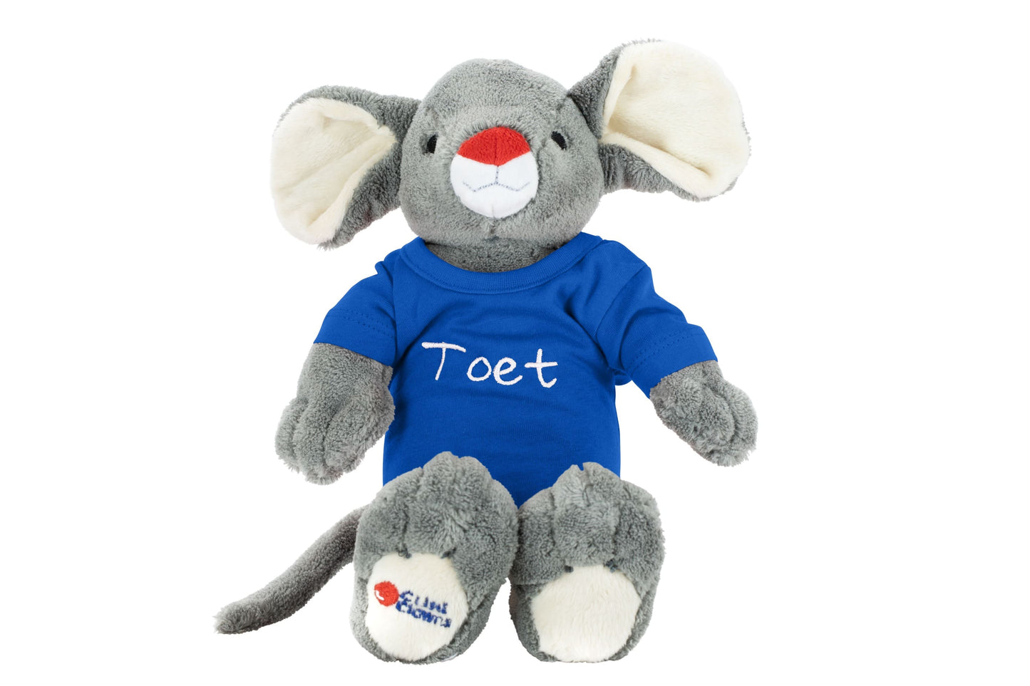 Toet knuffel met naamshirt