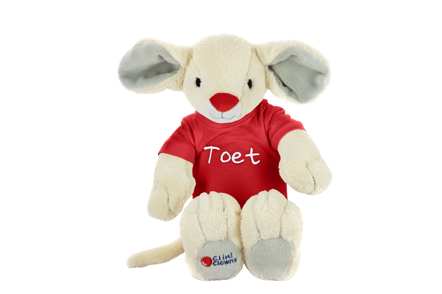 Toet knuffel met naamshirt