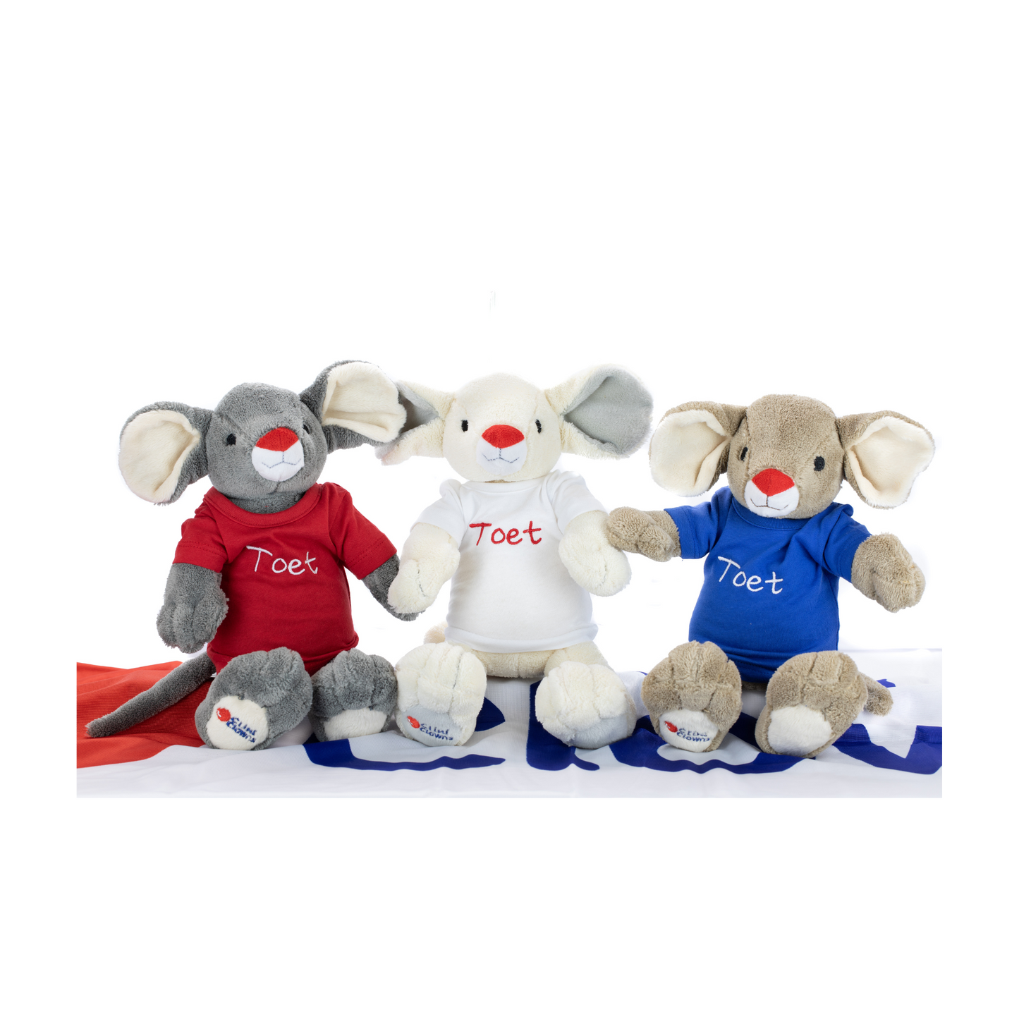 Toet knuffel met naamshirt
