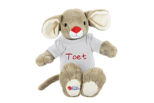 Toet knuffel met naamshirt